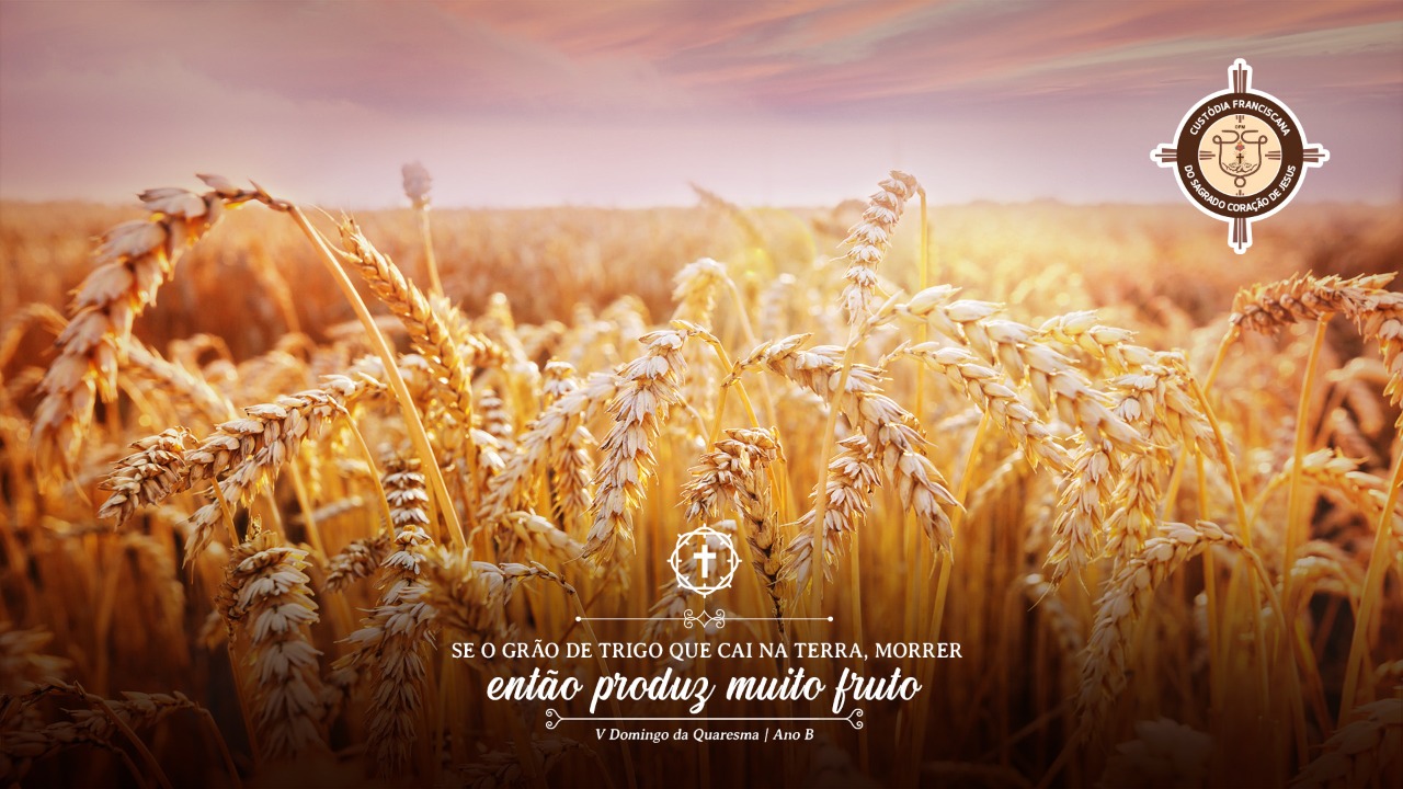 O Que Significa Cair Por Terra Na Bíblia - FDPLEARN